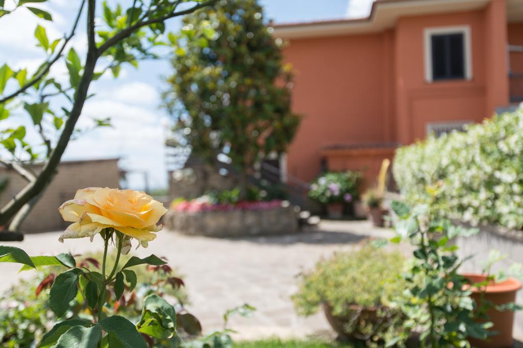 Bed And Breakfast Nonna Loreta ฟอร์เมลโล ภายนอก รูปภาพ