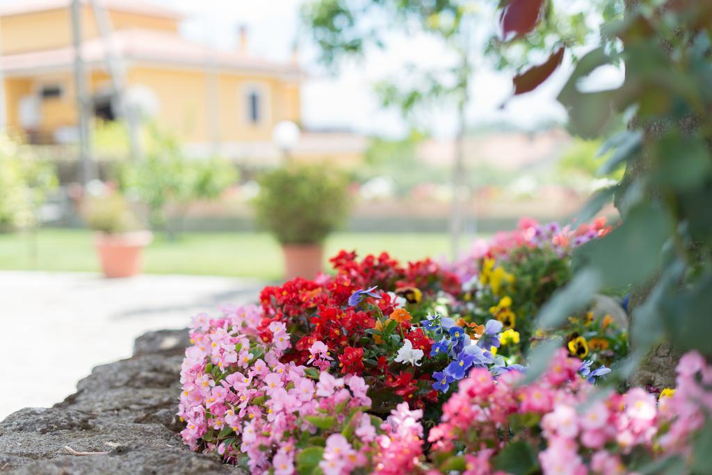 Bed And Breakfast Nonna Loreta ฟอร์เมลโล ภายนอก รูปภาพ